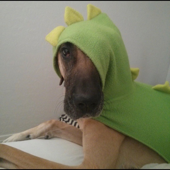 Meet your Posher, Elisa - Picture 1 of 1